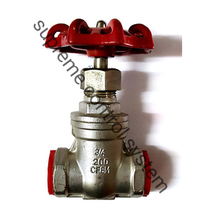 globe valve